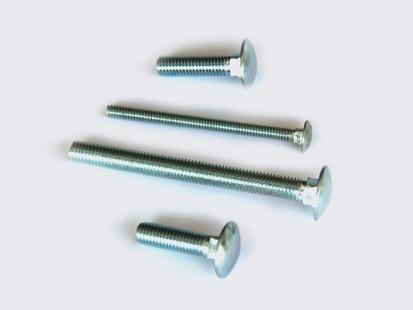 Carriage Bolt